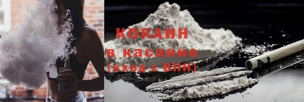 гидра Краснослободск