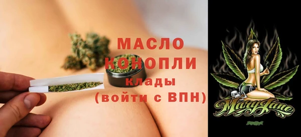 гидра Краснослободск