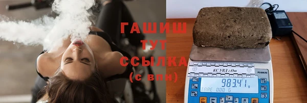 гидра Краснослободск