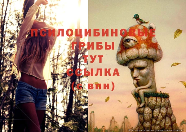 гидра Краснослободск