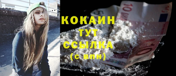 гидра Краснослободск