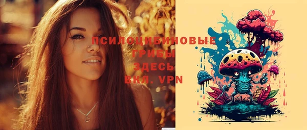 гидра Краснослободск