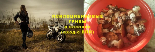 прущая мука Костерёво