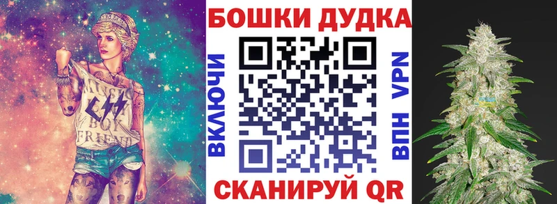 как найти закладки  Жуков  Каннабис конопля 